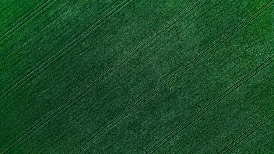 Photo mars green color